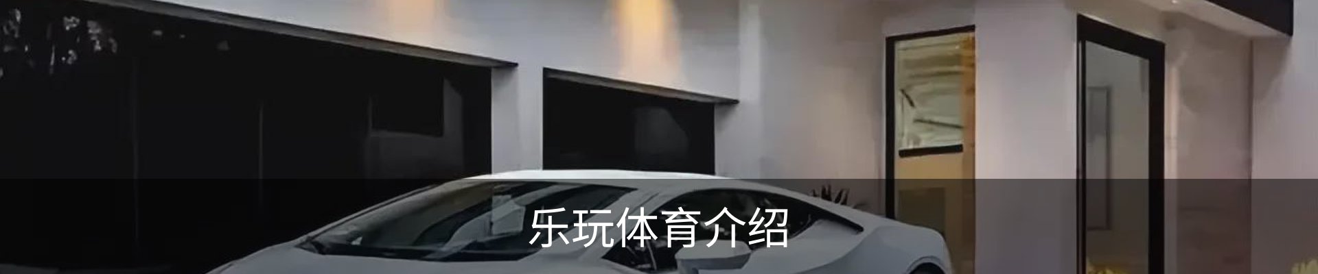 乐玩体育介绍
